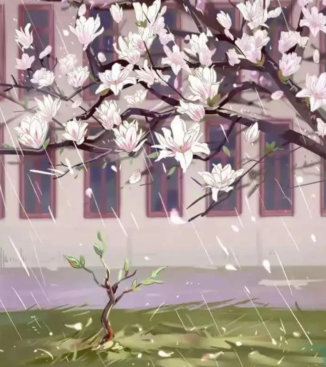 微信圖片_20200503110701.png
