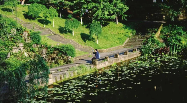 微信圖片_20200503110629.png